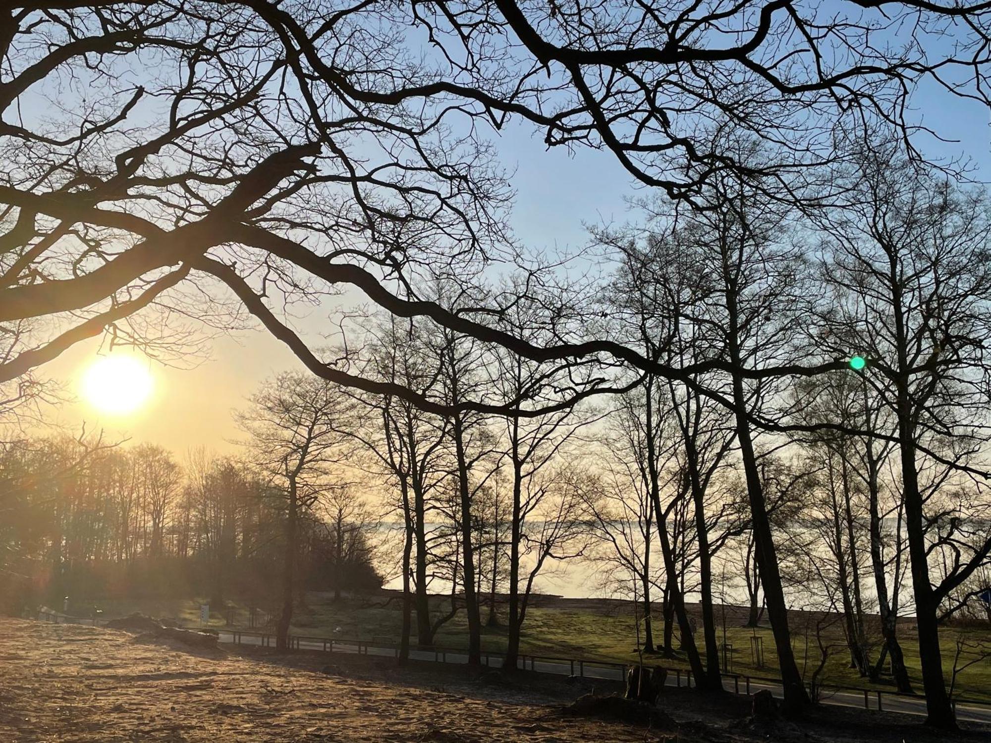 Strandhotel Weisser Berg Neustadt am Rübenberge Buitenkant foto