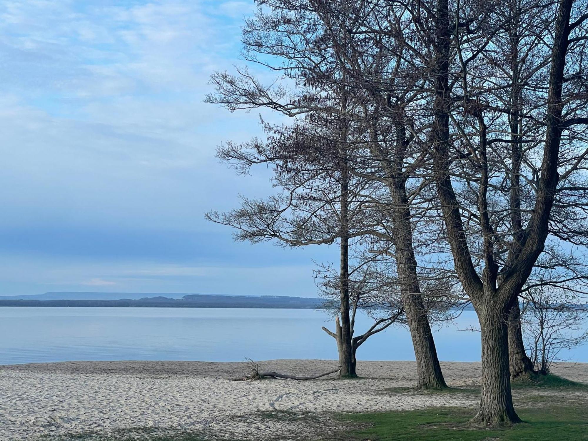 Strandhotel Weisser Berg Neustadt am Rübenberge Buitenkant foto